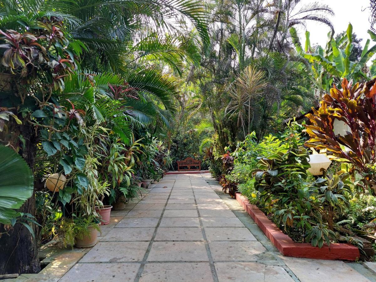 Palm Grove Cottages - Leisure Resort Бенаулим Екстериор снимка