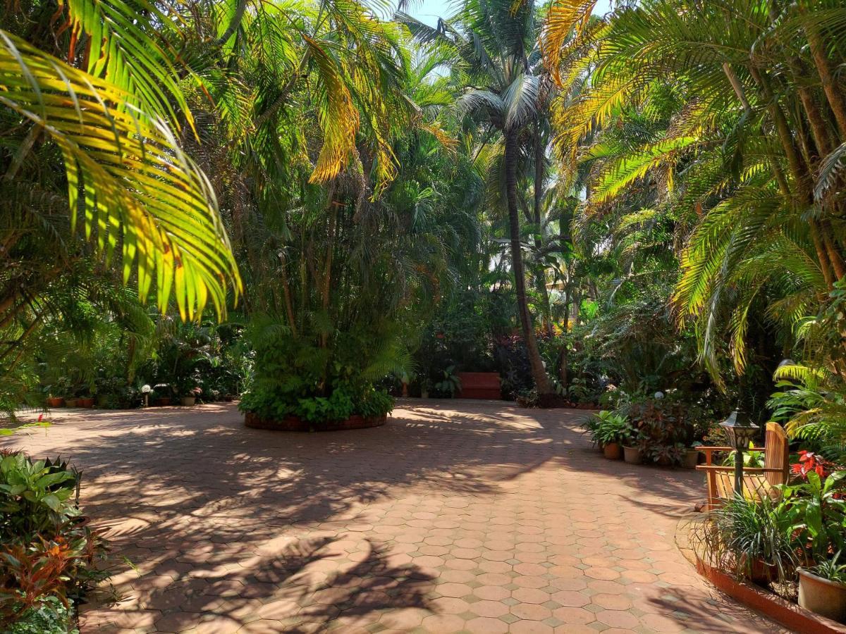 Palm Grove Cottages - Leisure Resort Бенаулим Екстериор снимка
