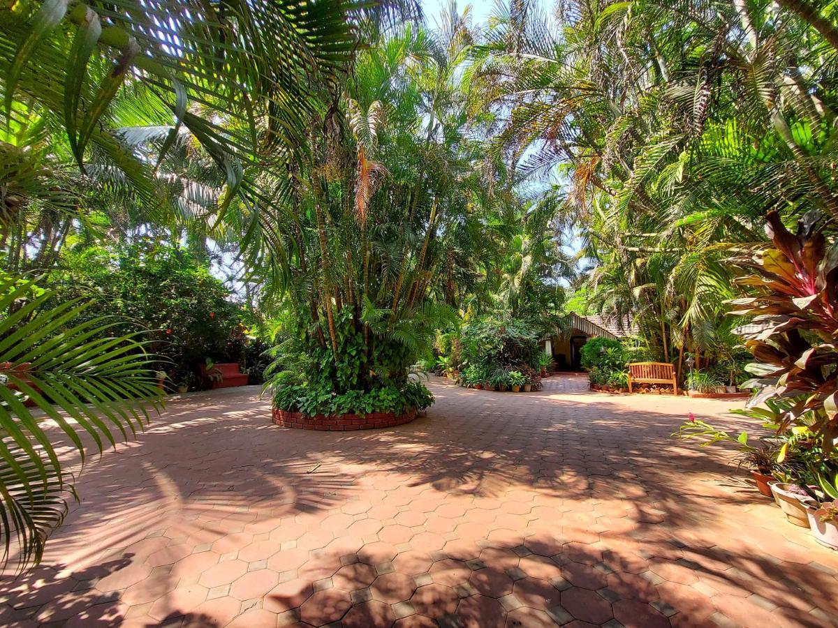 Palm Grove Cottages - Leisure Resort Бенаулим Екстериор снимка