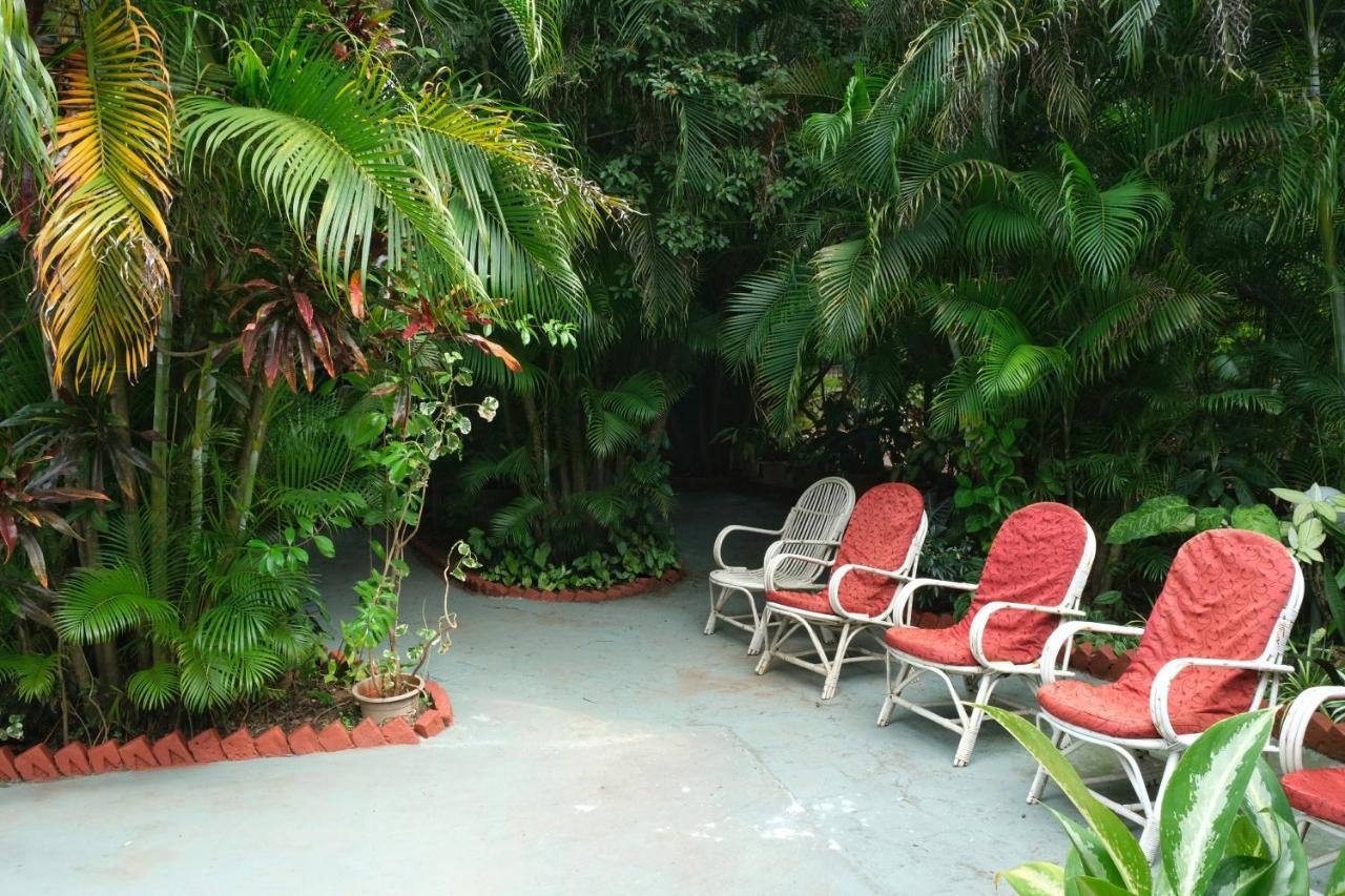 Palm Grove Cottages - Leisure Resort Бенаулим Екстериор снимка