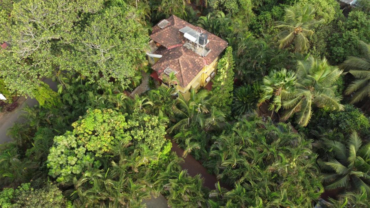 Palm Grove Cottages - Leisure Resort Бенаулим Екстериор снимка