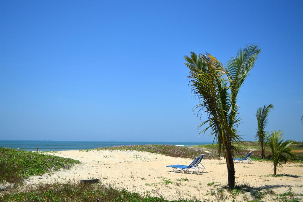 Palm Grove Cottages - Leisure Resort Бенаулим Екстериор снимка