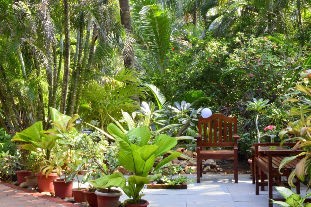 Palm Grove Cottages - Leisure Resort Бенаулим Екстериор снимка
