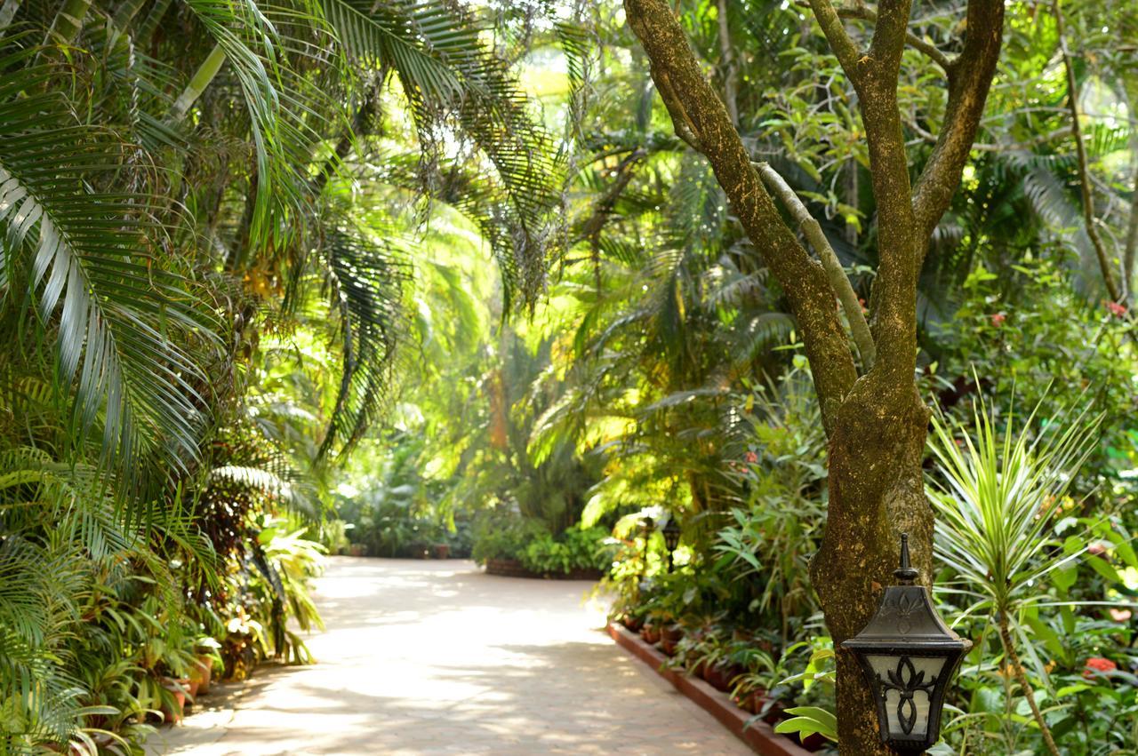 Palm Grove Cottages - Leisure Resort Бенаулим Екстериор снимка